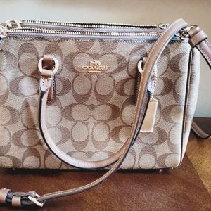 Mini Surrey Carryall In Signature Canvas